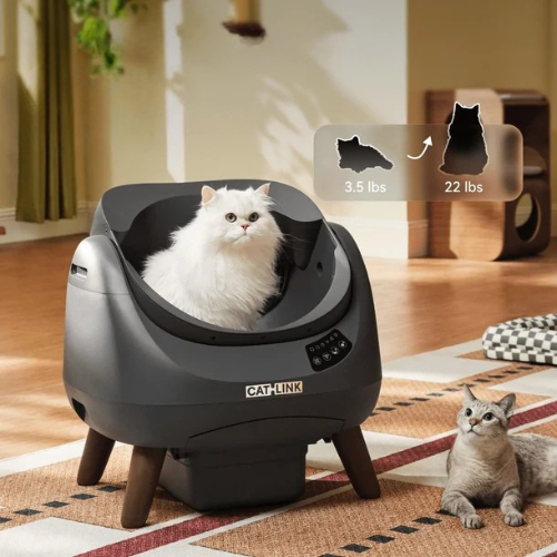 PurrSanctum