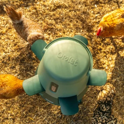 HenFeeda