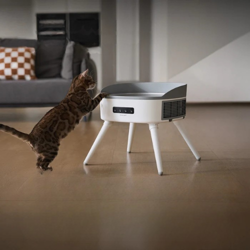 Purrheat